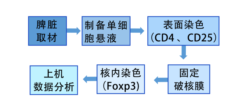 道賽爾